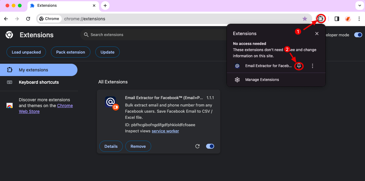 Facebook Email Extractor chrome extension install pin